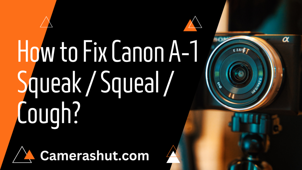 How to Fix Canon A-1 Squeak / Squeal / Cough?