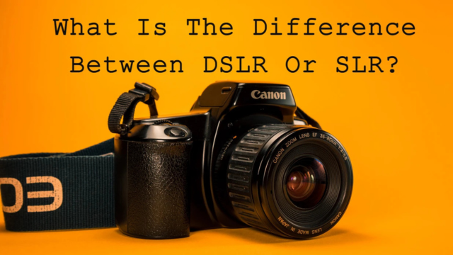 What Is The Difference Between DSLR Or SLR?